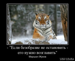 вежливый тигр