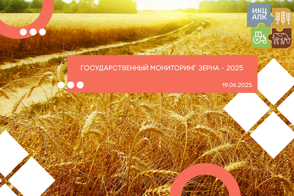 Для анонсов.jpg