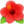 🌺