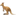 🦘