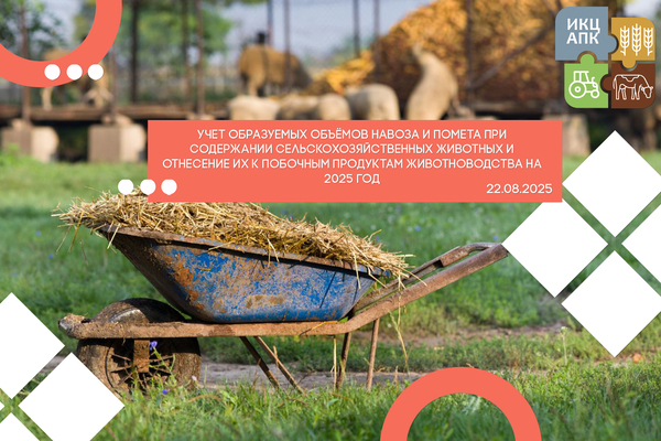 Для анонсов.jpg