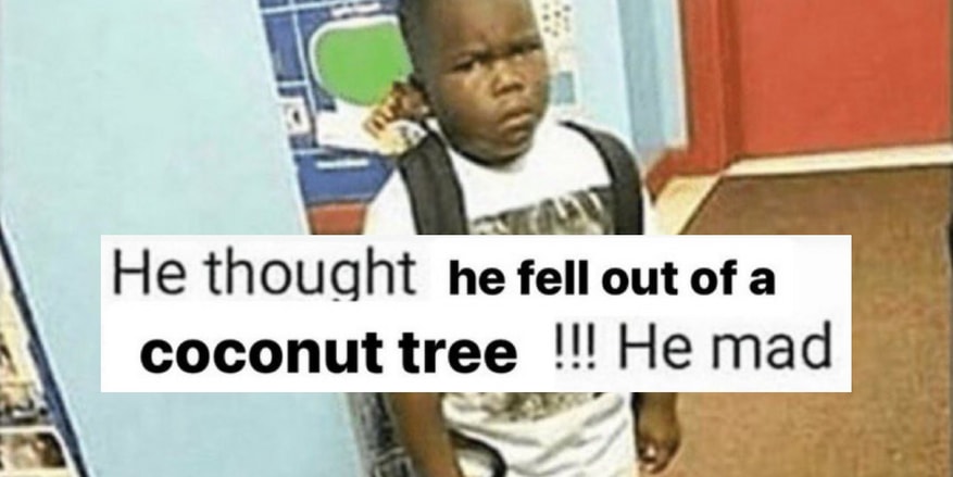 Falling Out Of A Coconut Tree, And This Week's Other Best Memes, Ranked Mailservice?url=https%3A%2F%2Fcdn.digg.com%2Fsubmitted-links%2F877x439%2F1707996490-JywKKKrq2X