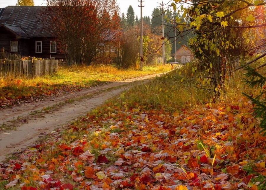 Фрагмент осени. Осень в деревне. Деревня осенью. Октябрь в деревне. Золотая осень в деревне.