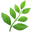 🌿