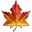 🍁