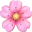 🌸