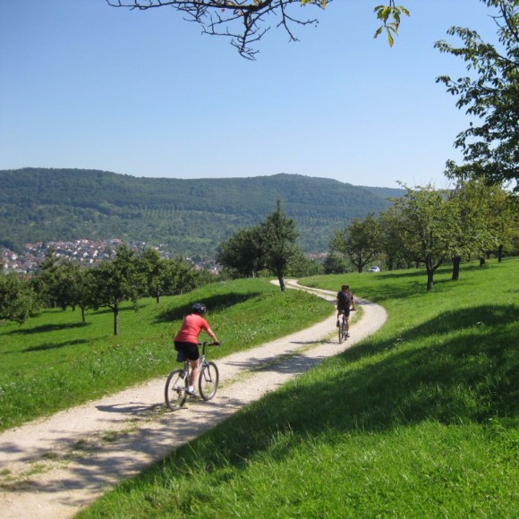 Swabian Alb UNESCO-Biosphere: Cycling on the edge of the Swabian Alb
