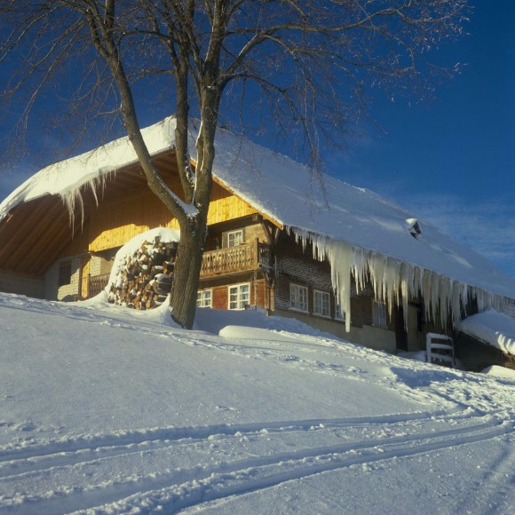 Черный лес: дом в снегу