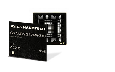 GS Nanotech    