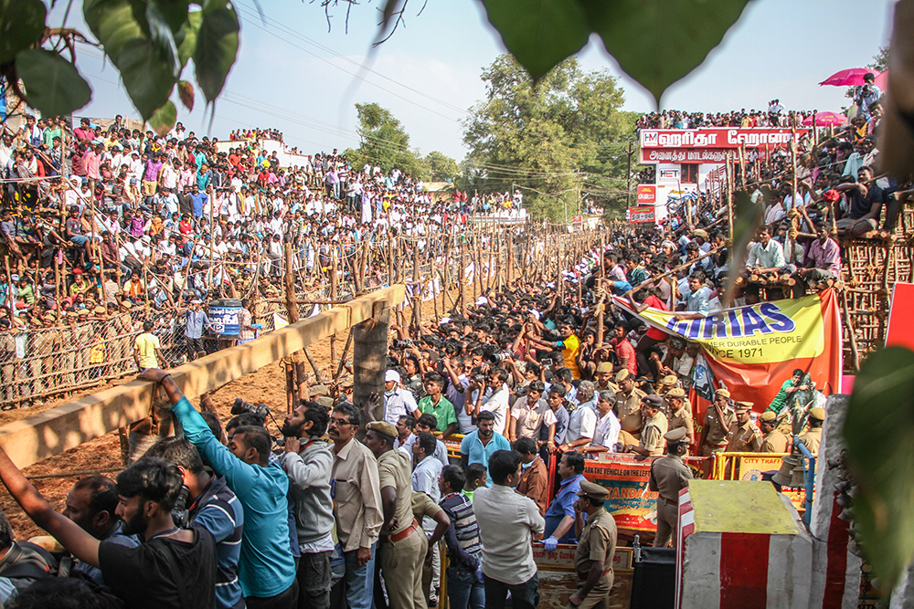 Thousands of people from across the state and some international tourists fight for space at the makeshift galleries, as the police control the crowds to avoid a stampede.