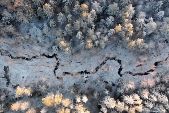 ВИДЕО: зимняя Эстония за минуту