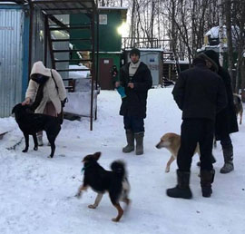 Единороссы помогли приюту для
бездомных животных в Москве