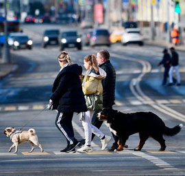 Госдума приняла в первом чтении
законопроект «Единой России» о
запрете изымать домашних животных за
долги