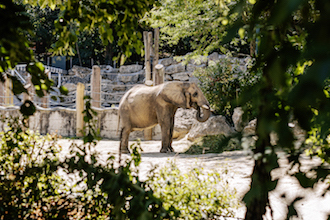 Schoenbrunn Zoo © Vienna Tourist Board / Paul Bauer