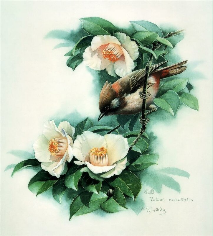 Zeng Xiao Lian.Птицы