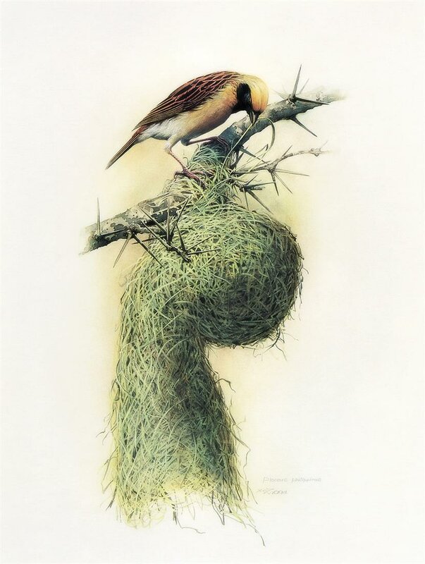 Как птицы на женщин схожи, схожи! Художник Zeng Xiao Lian