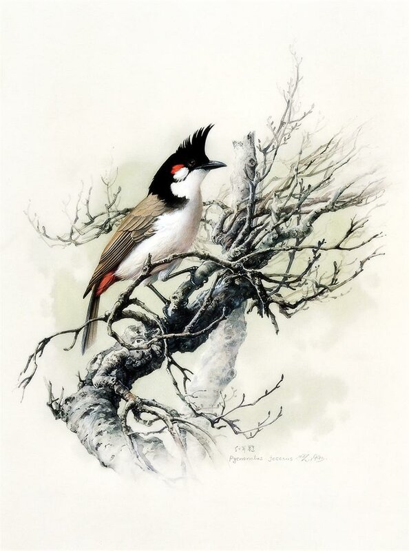 Как птицы на женщин схожи, схожи! Художник Zeng Xiao Lian
