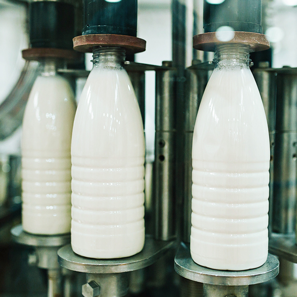 Фильтры для молочных заводов