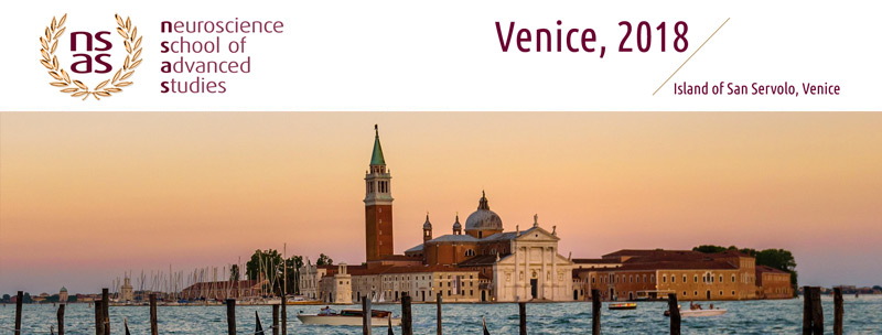 Advanced Courses in Venice
