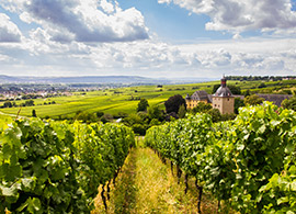 Эстрих-Винкель: Замок Воллрадс, винодельческий регион Рейнгау
